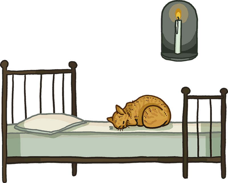 legs pour everycat illustration d'un chat seul sur un lit