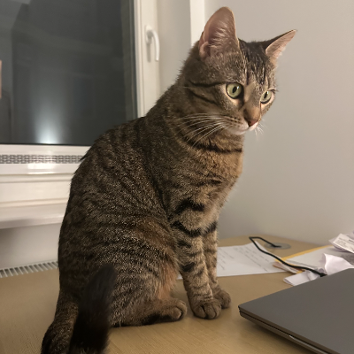 photo-chat-nila