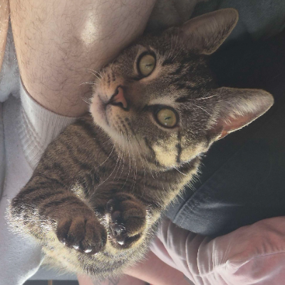photo-chat-sonic