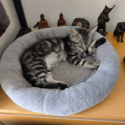 photo-chat-eros